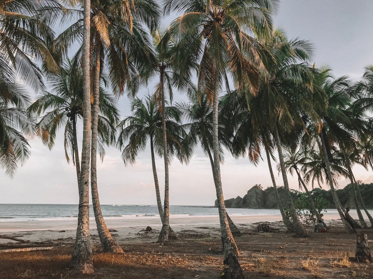 Ein paar Eindrücke aus&nbsp;Nosara
